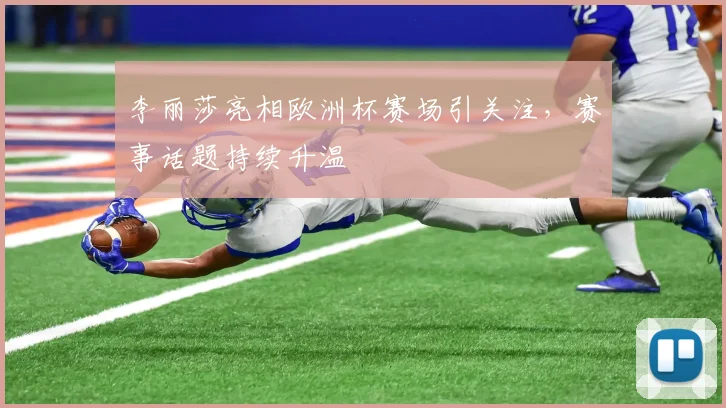 李丽莎亮相欧洲杯赛场引关注，赛事话题持续升温