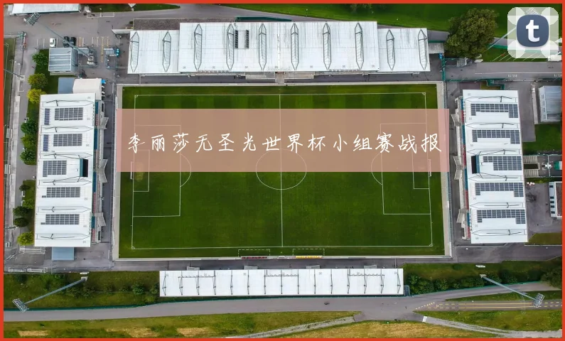 李丽莎无圣光世界杯小组赛战报